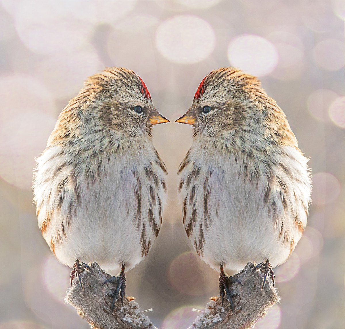 blog header image